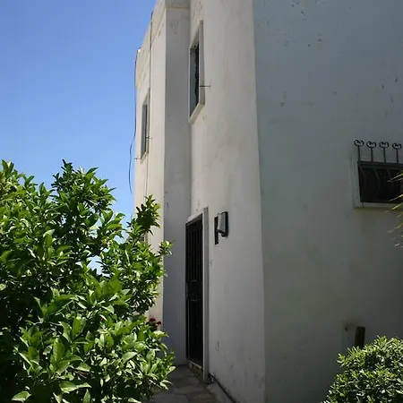 Gulseren فيلة *